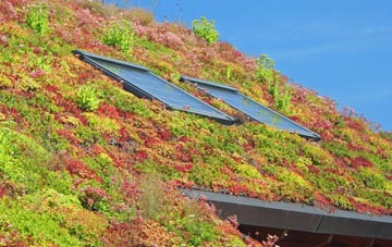 Bruntingthorpe living roof systems