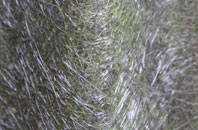 Bruntingthorpe fibreglass roof work